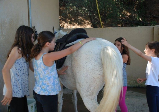 Preparando al caballo durante el casal