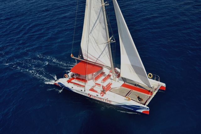 Catamaran White Tenerife baja
