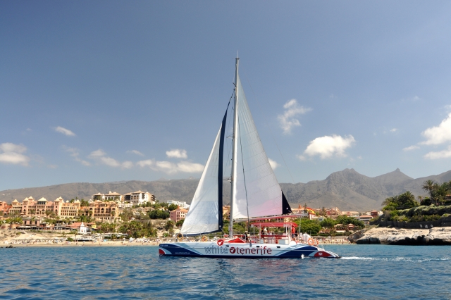 Catamaran WT playa al fondo