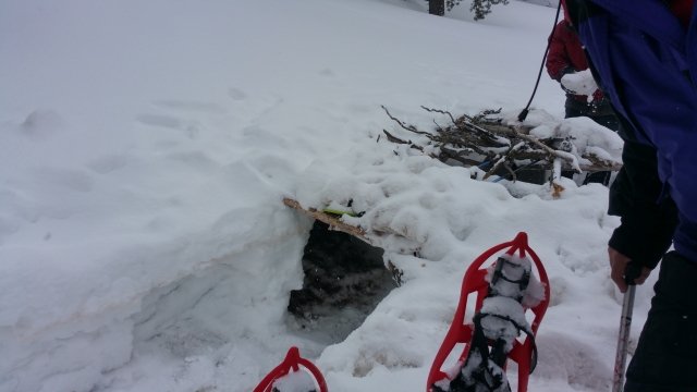 Raquetas sobre la nieve
