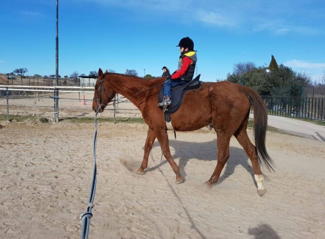 Joven jinete en Madrid