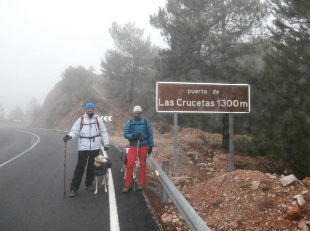  Hiking in Puerto de las Crucetas 