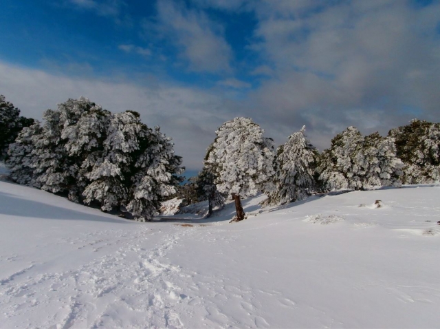  Snow excursions in Ciudad Real 