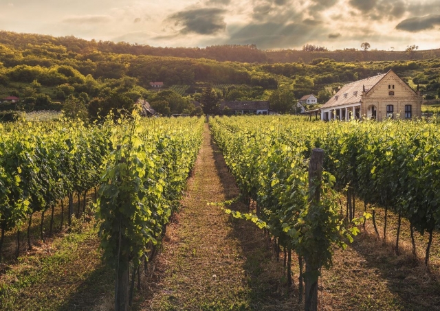 Masia en el Penedes