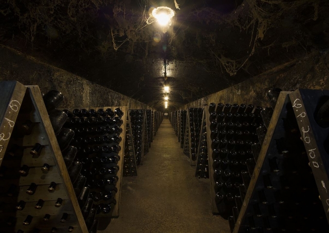 Bodega de cava en el Penedes