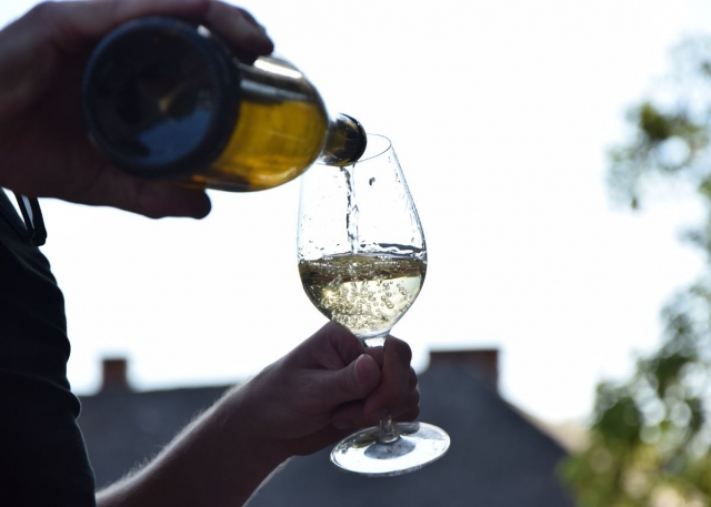 Cata de cavas del Penedes