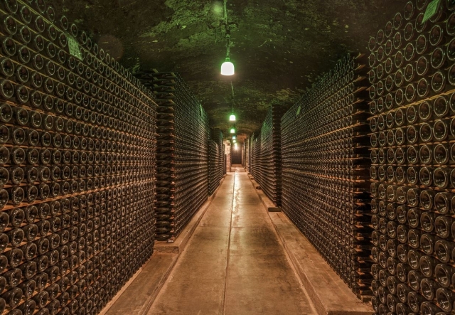 Pasillo de bodega en el Penedes