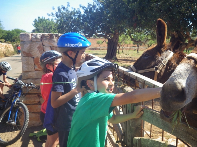  Ciclisti in visita agli asini a Portocolom 