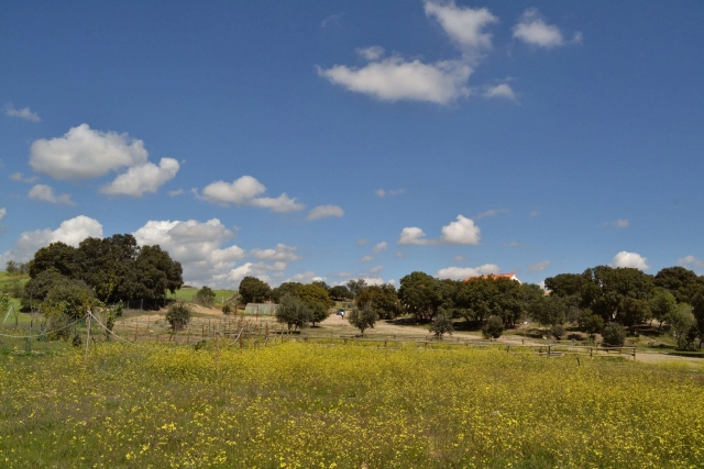 Nuestra casa en plena naturaleza