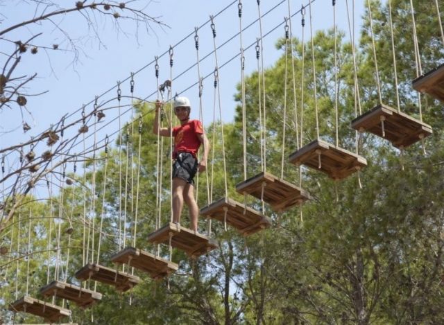  军校树木间的走道 