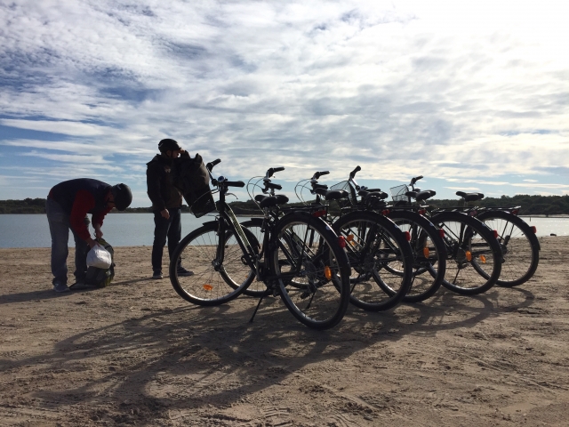  On the route of the Albufera with bicycles 