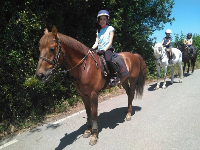 Paseando a caballo por Deva