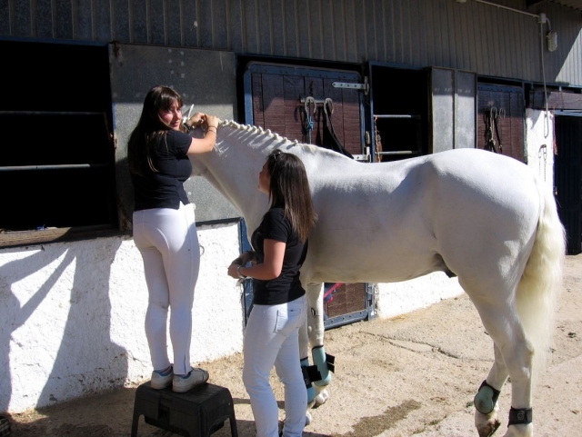 Preparando al caballo en Deva