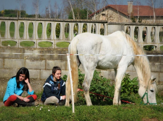 Sentadas con el caballo en Deva