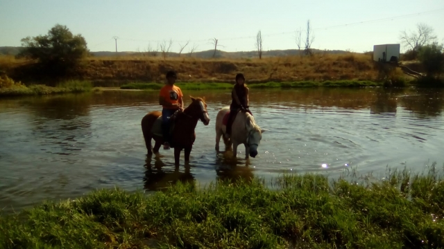 Refrescándose en el río