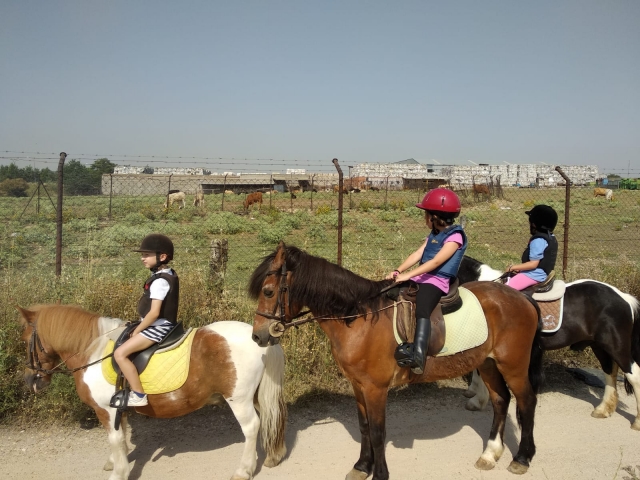 con los pequeños al campo