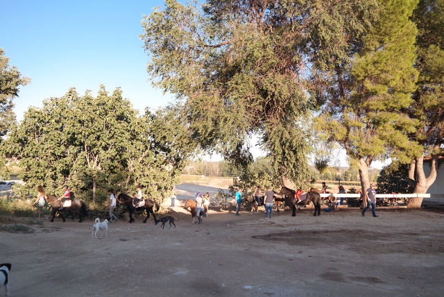 Nos vamos de paseo al campo