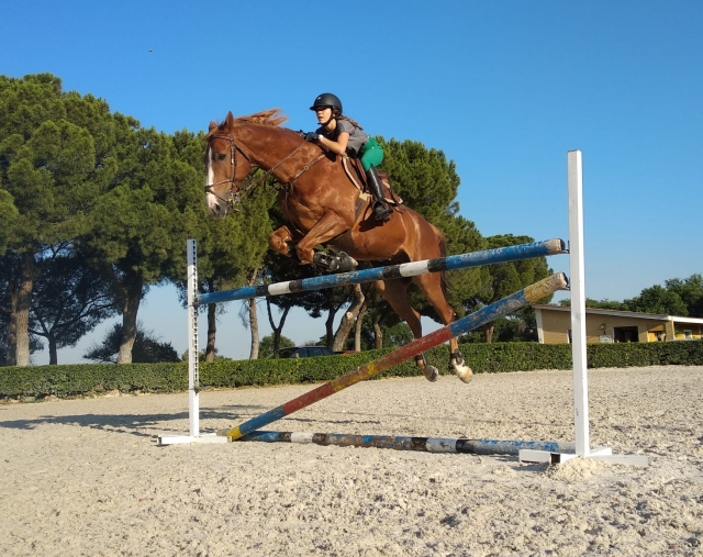 Entrenamiento competicion