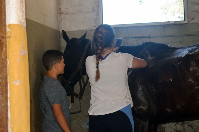 Aseando al caballo en Madrid