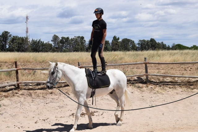 De pie en el caballo en Madrid
