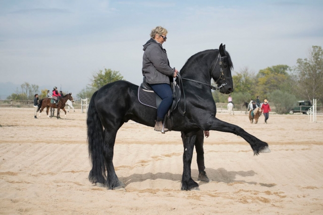 Hipica en pista exterior en Madrid