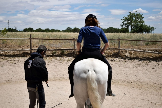 Leccion ecuestre cerca de Madrid