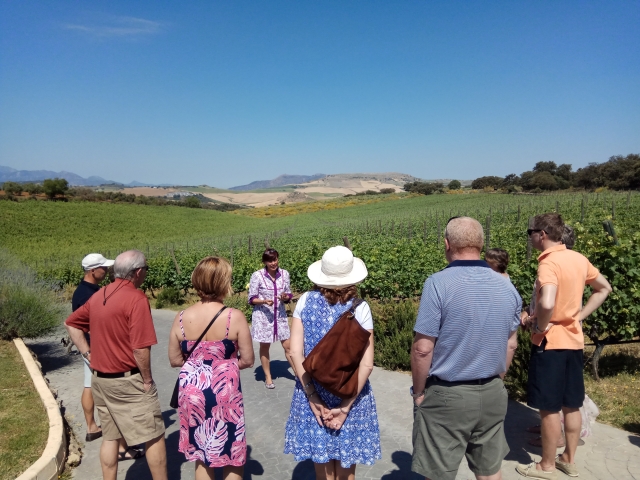 Visita guiada Andalucia