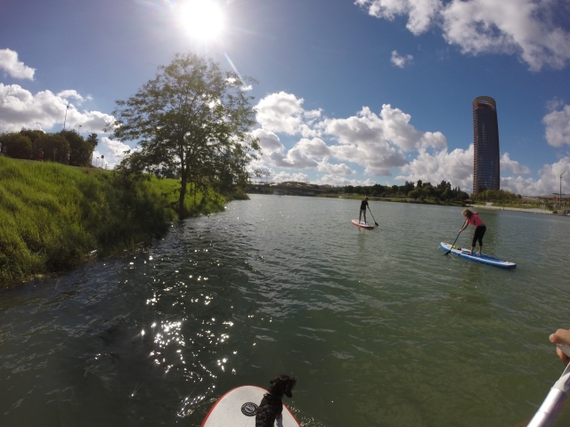 Nevagando en SUP en Sevilla