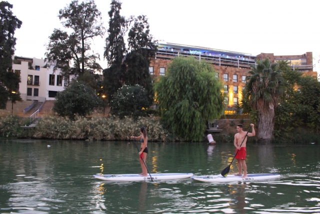 Ruta de SUP de dÍa en el Guadalquivir