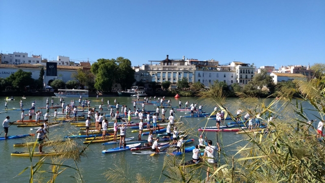 Concentración de SUP en Sevilla