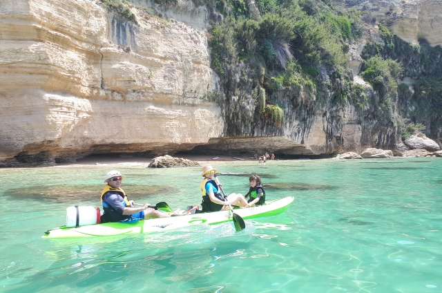  家庭皮划艇在阳光海岸 