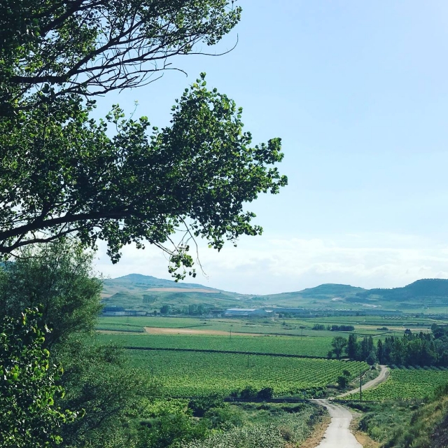  Senderos de la Rioja 