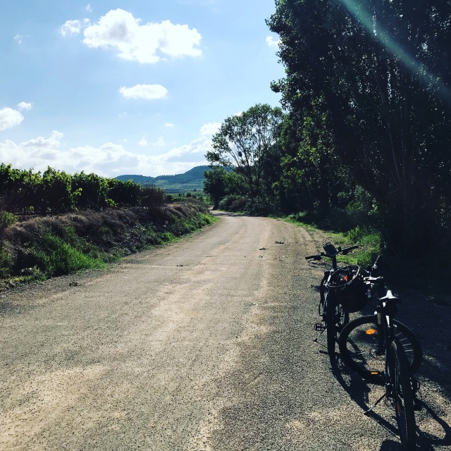  Views between vineyards 
