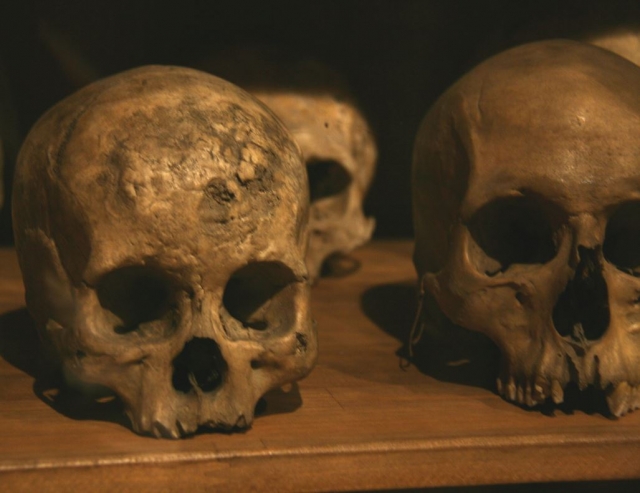 Calaveras sobre la mesa