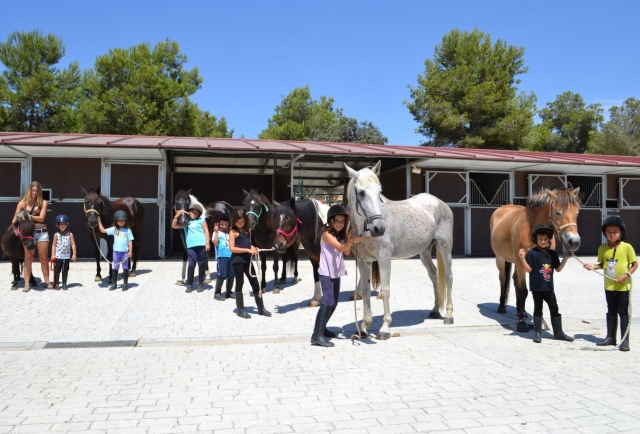  Activités pour enfants au centre équestre d'El Catllar 
