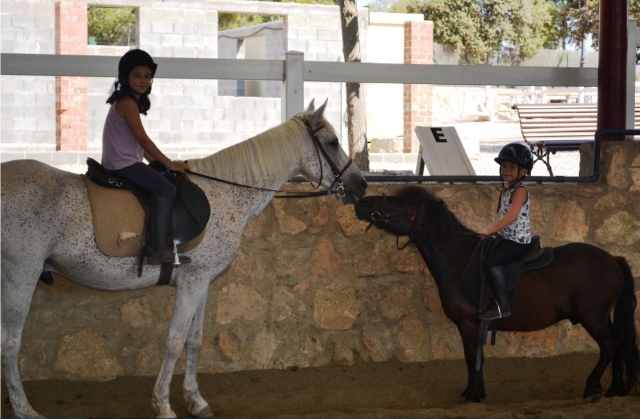  Cheval et poney au centre équestre d'El Catllar 