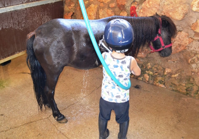  Laver le poney sur le campus d'El Catllar