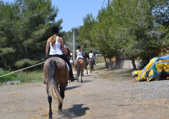  Équitation au centre équestre de Tarragone 