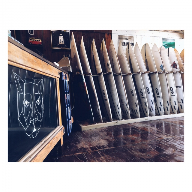 Tablas de surf expuestas en la tienda
