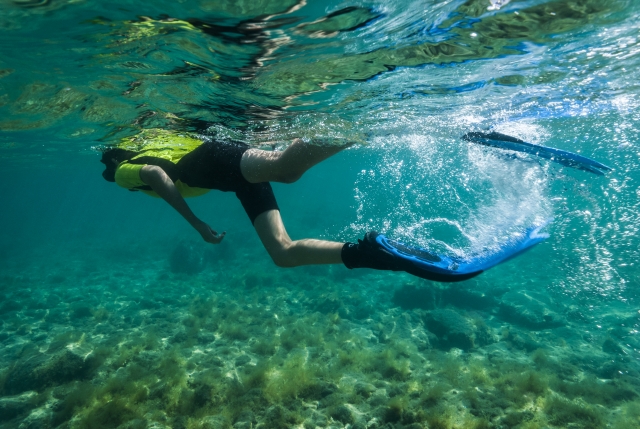  Snorkeling dans l'Atlantique