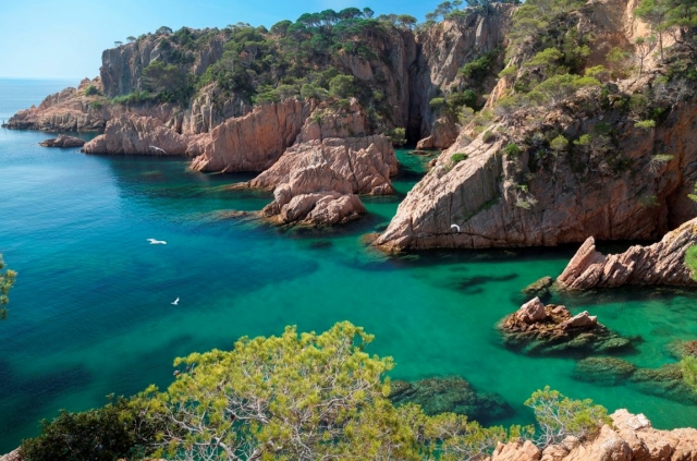 Acantilados de Sant Feliu