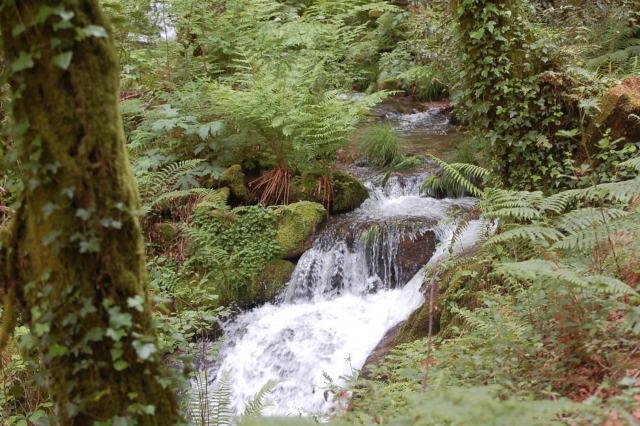 Senda Fluvial de Tui