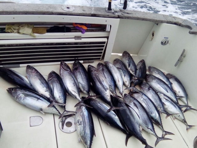 Pesca de temporada