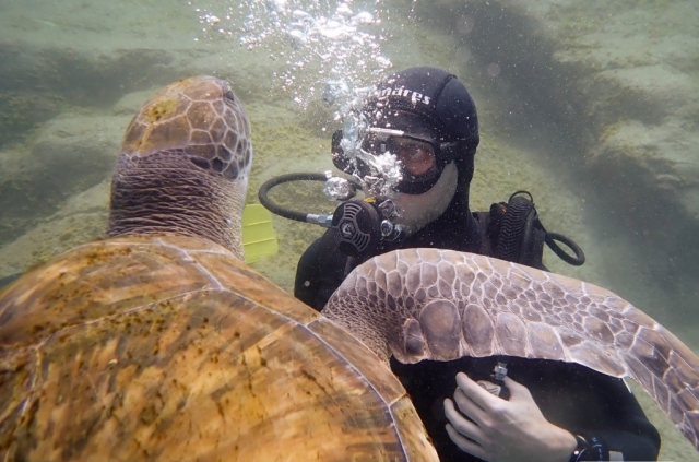 Nadando junto a tortuga