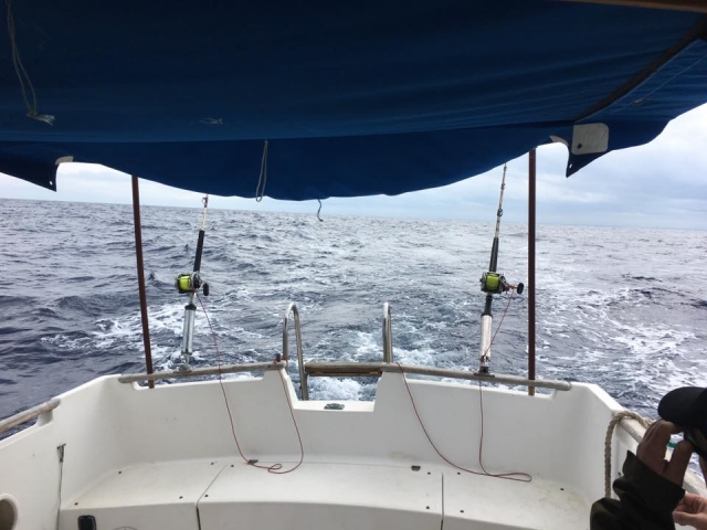 Parte trasera del barco navegando