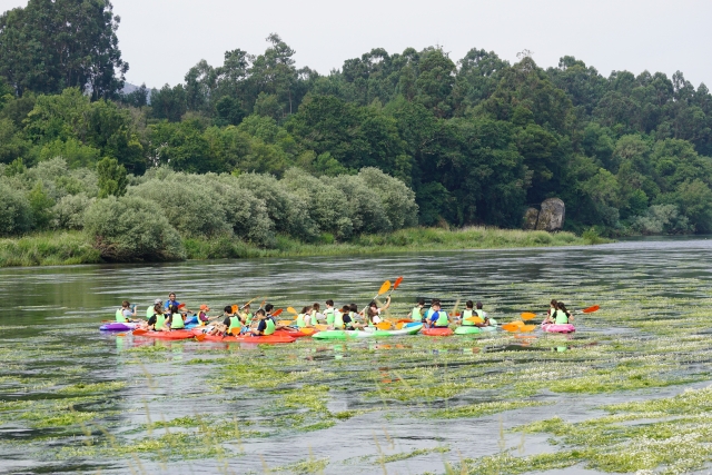 Grupo de kayaks en el Mino