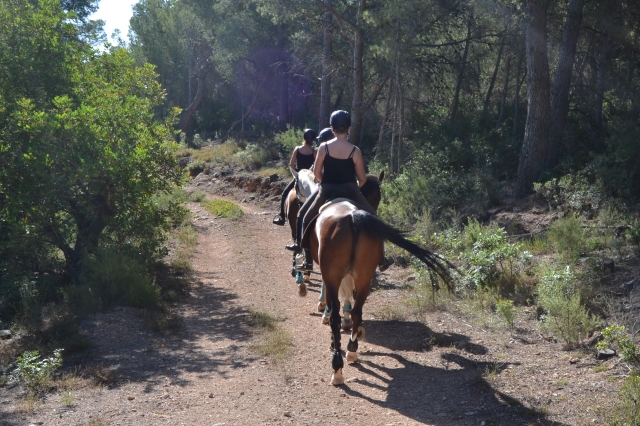 Siguiendo la senda con los caballos