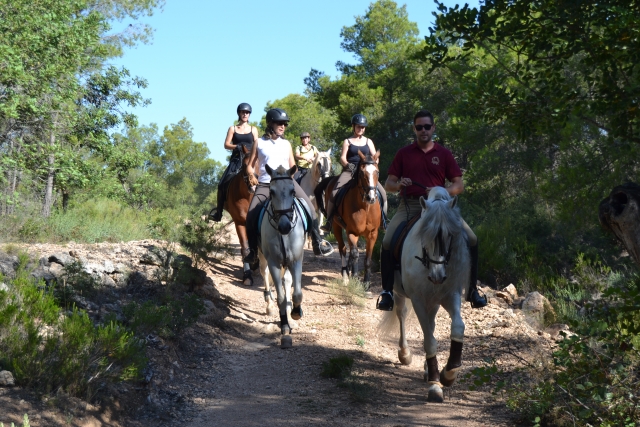 De paseo con los equinos en Valencia