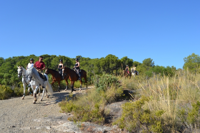 Sendero a caballo en Naquera