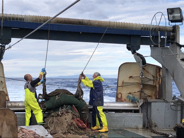 Descargando las redes